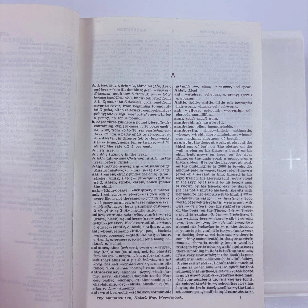Engels Woordenboek Nederlands-Engels Ten Bruggencate 1963 Edition Wolters